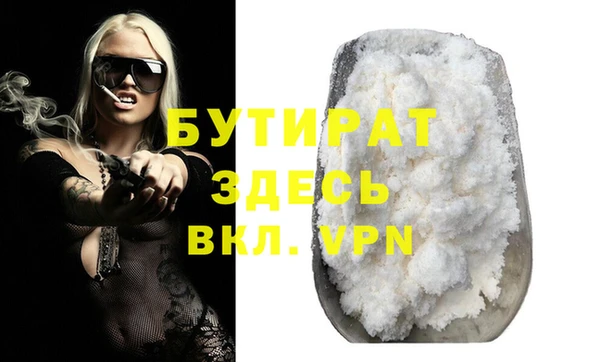 прущие грибы Надым