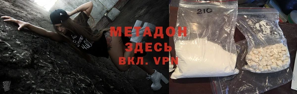 прущие грибы Надым
