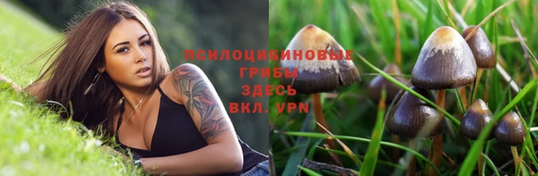 прущие грибы Надым