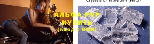 прущие грибы Надым