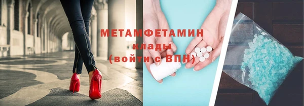 прущие грибы Надым