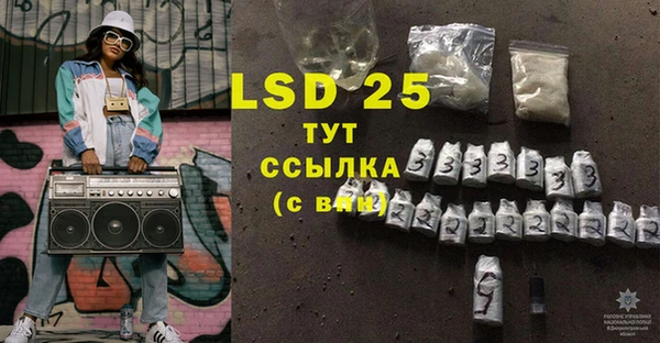 прущие грибы Надым