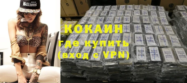 прущие грибы Надым