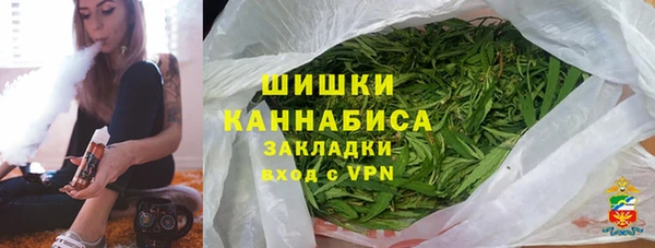 прущие грибы Надым