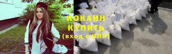 прущие грибы Надым