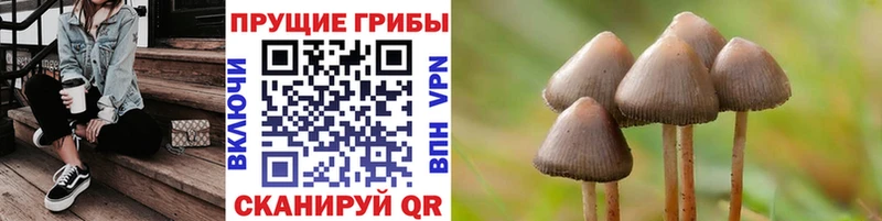 Псилоцибиновые грибы MAGIC MUSHROOMS  купить наркотик  Нефтегорск 